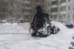 фото_снегоборьба